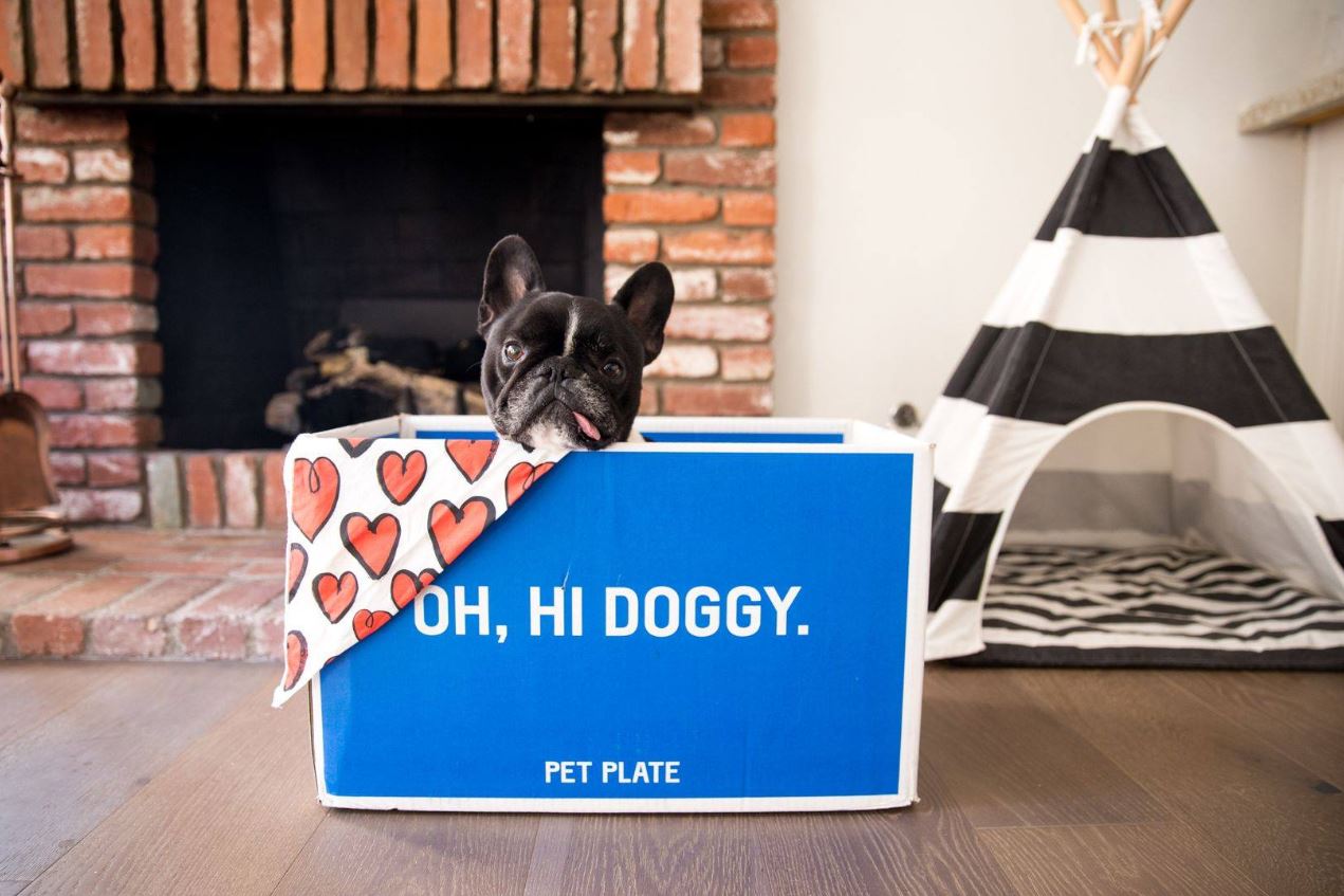 Pet Plate Reviews And Cost 2021 Get Your 60 OFF COUPON Here!