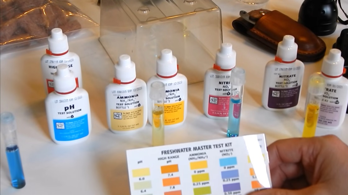 API Freshwater Master Test Kit Review - Everything You Need To Know