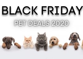 Best Black Friday Deals For Pets 2020 | Dogs, Cats, Aquarium Fish…